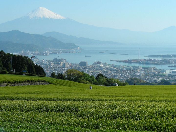 静岡市
