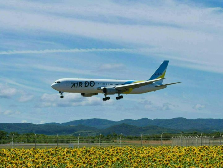 大空町