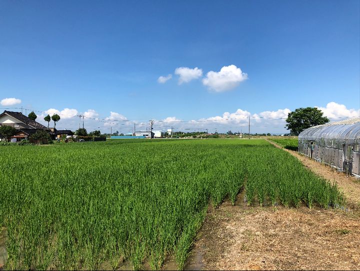砺波市