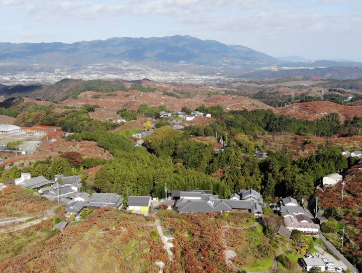 五條市