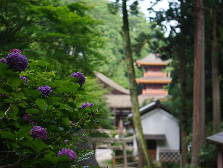近江八幡市