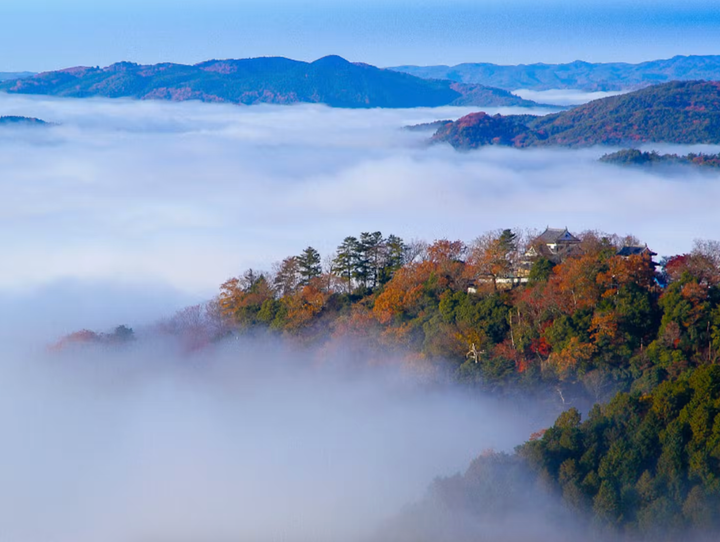 高梁市