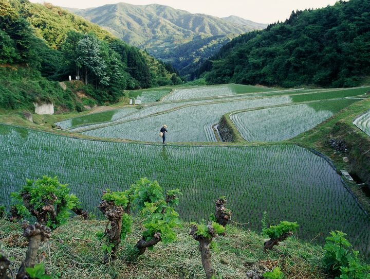 丸森町