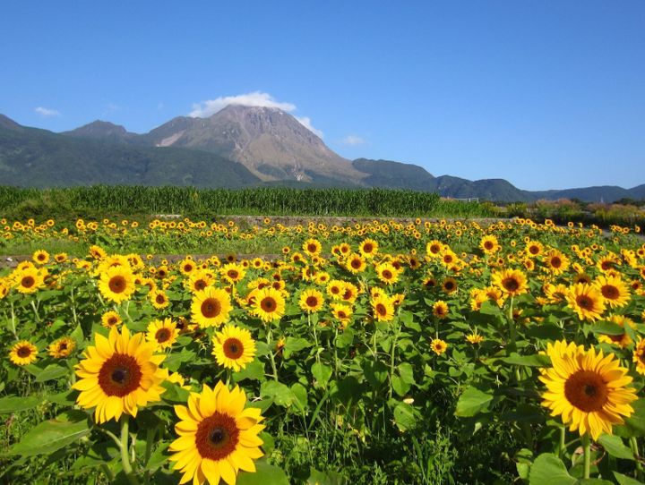 南島原市