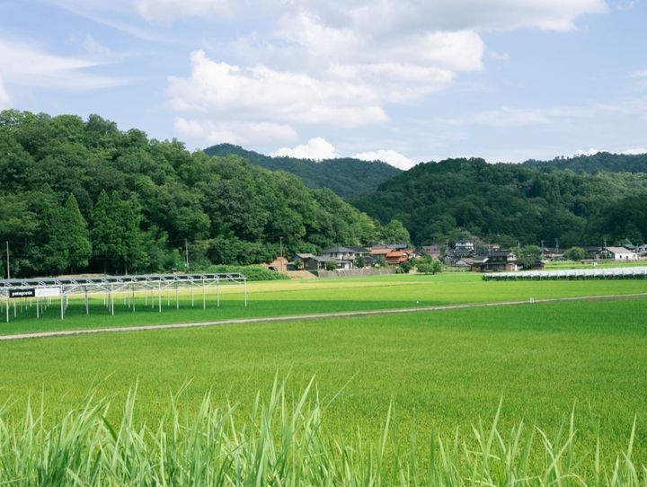 豊岡市