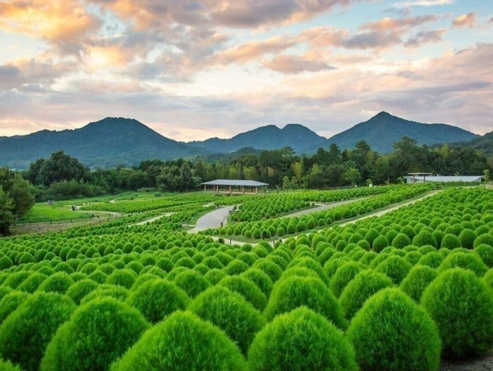 香川県全体