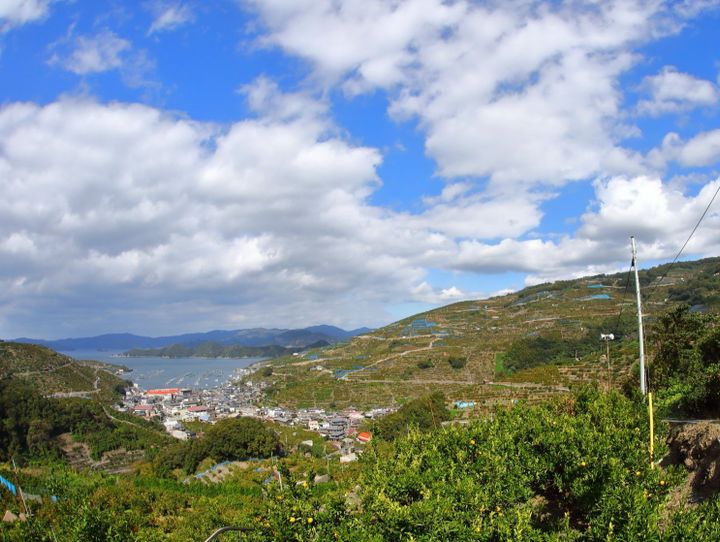 八幡浜市
