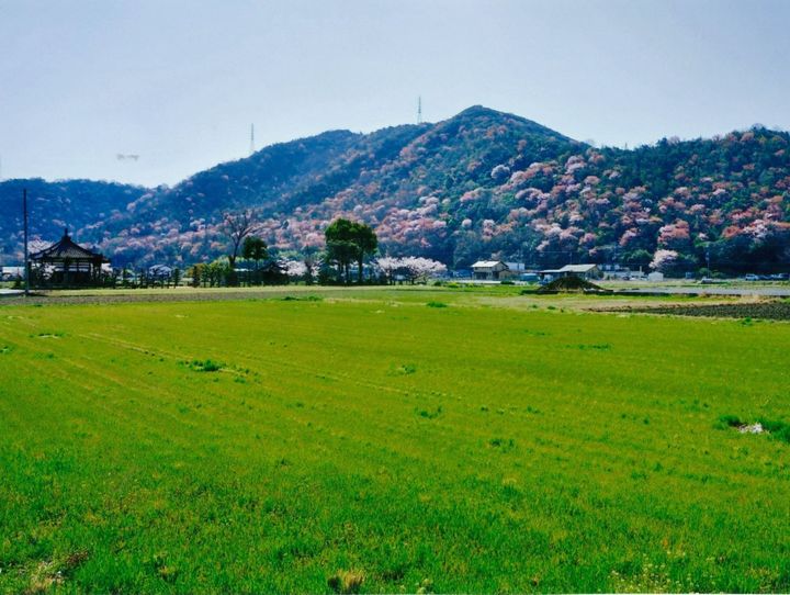 姫路市