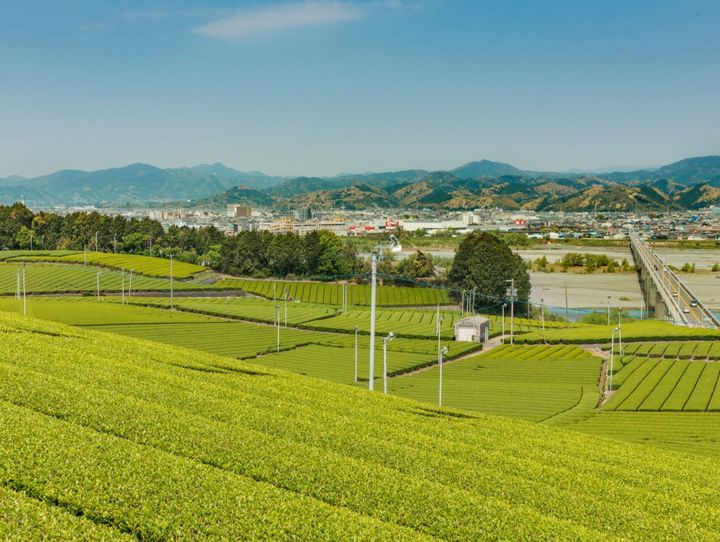 島田市