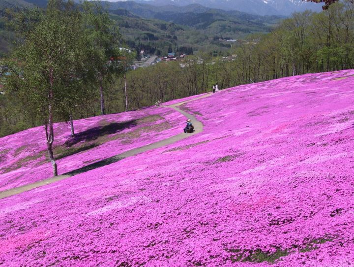 滝上町