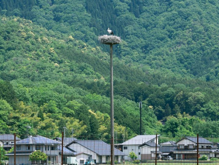 豊岡市
