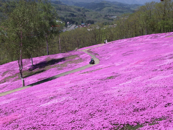 滝上町