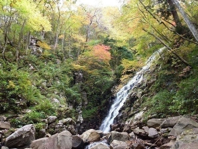 津山市