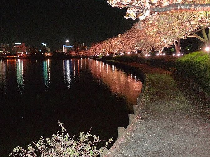 水戸市