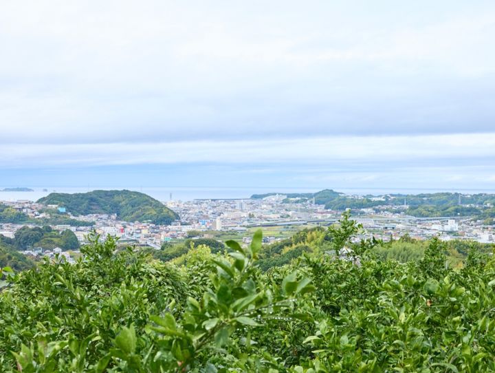 田辺市