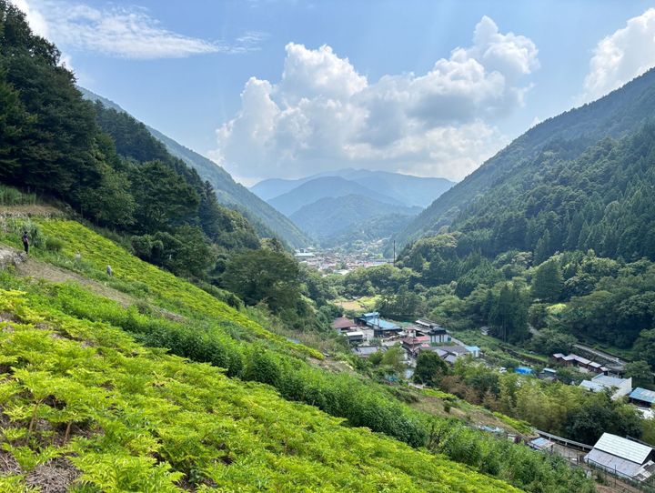 小菅村