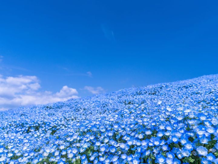 茨城県全体