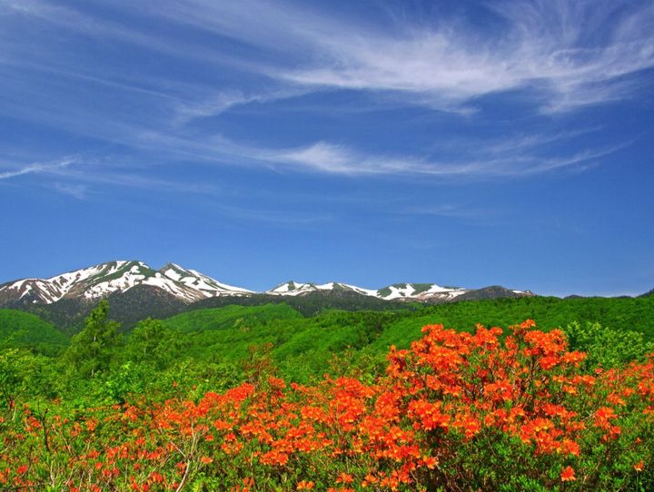 松本市