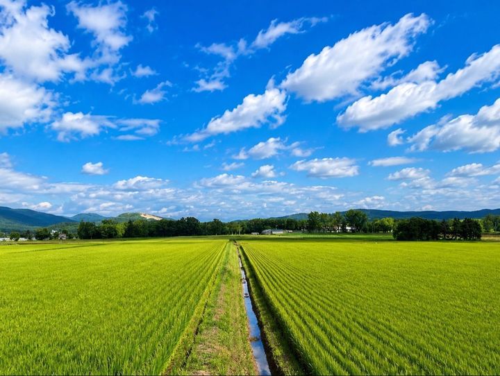 和寒町