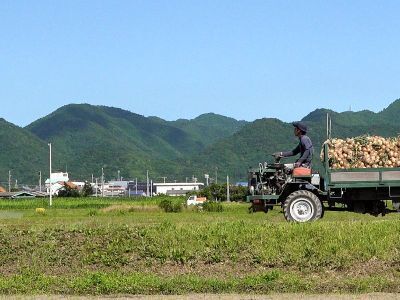 南あわじ市