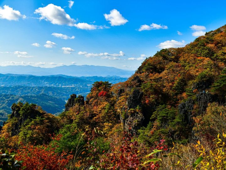 伊達市