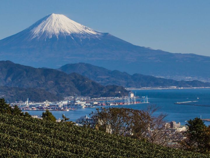 静岡市