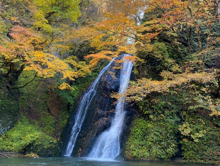 藤里町