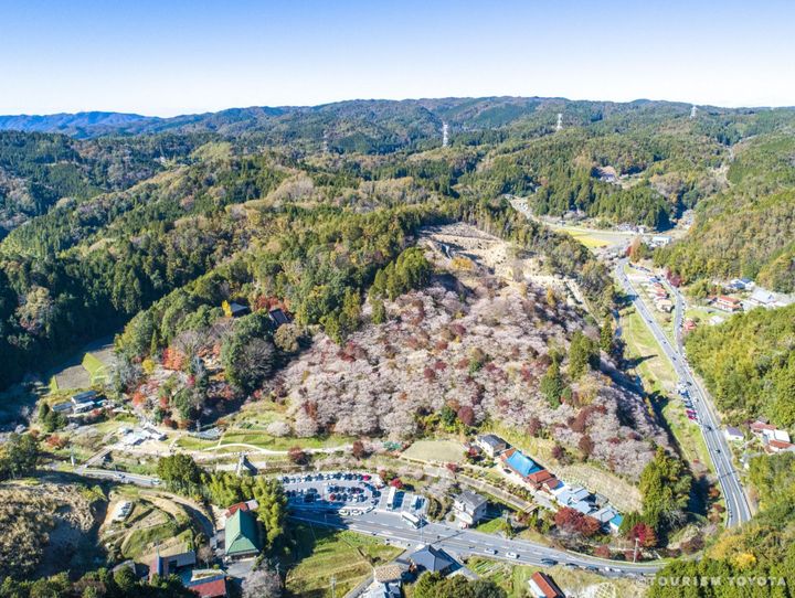 豊田市