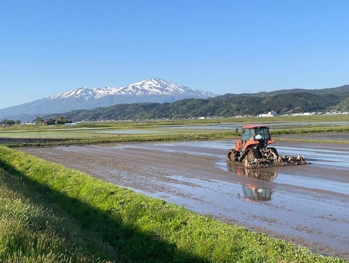 酒田市