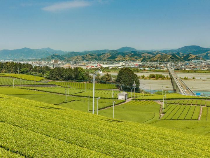 島田市