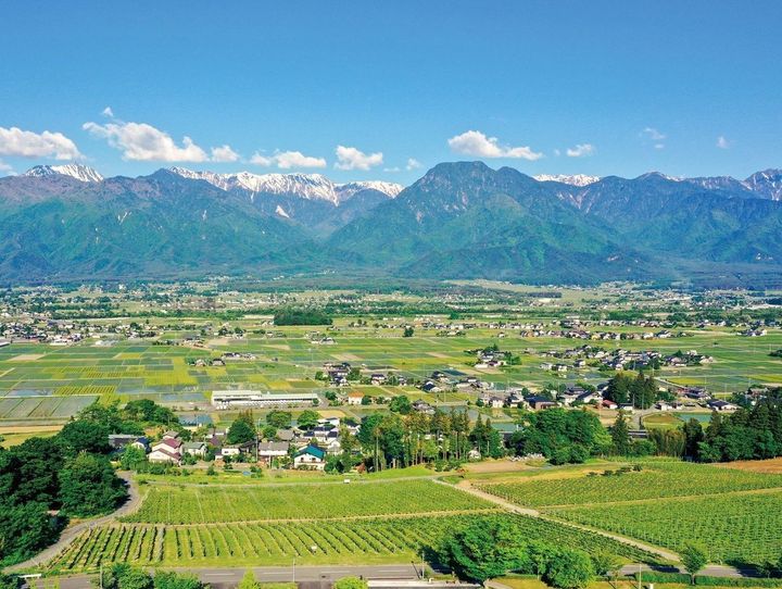 池田町
