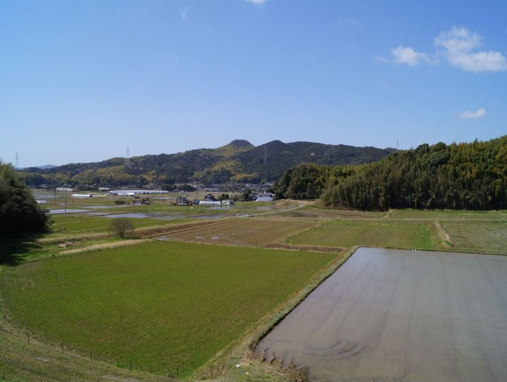 柳井市