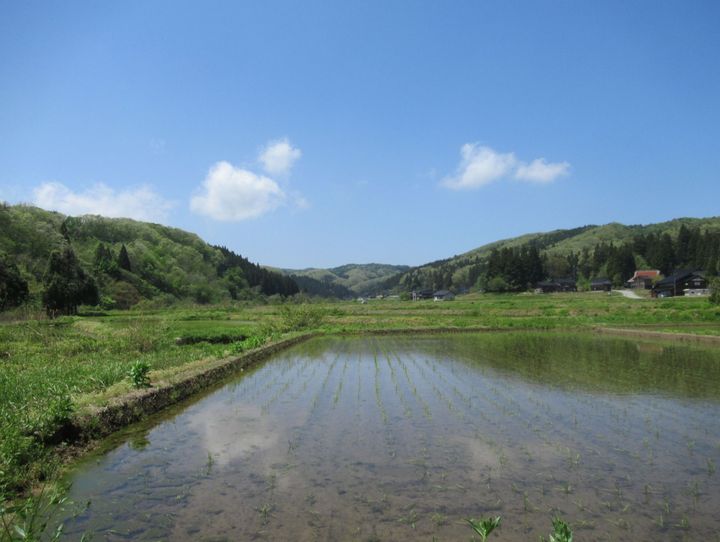 石川県全体