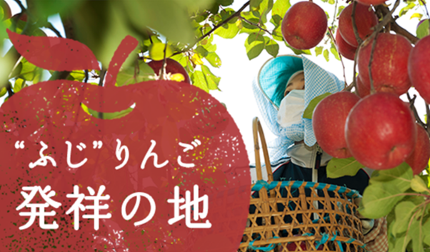 藤崎町