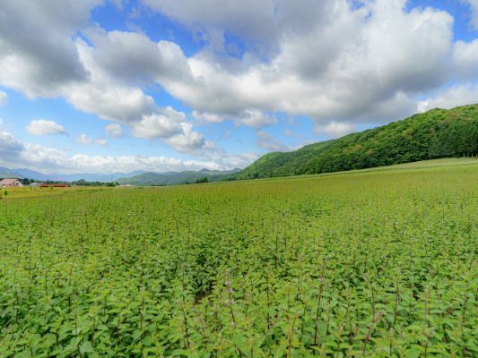 滝上町