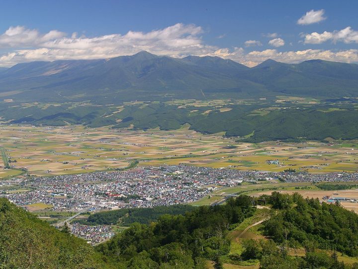 富良野市