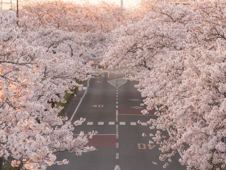 日立市