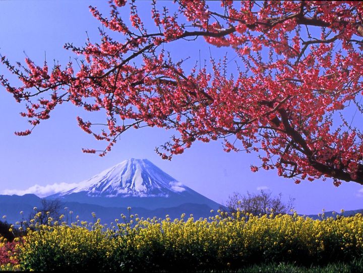 韮崎市