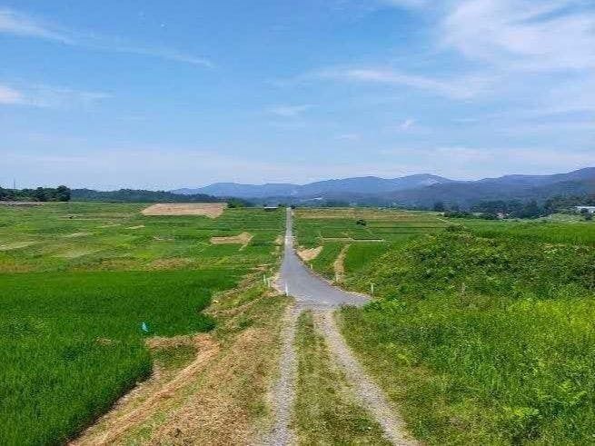 花巻市