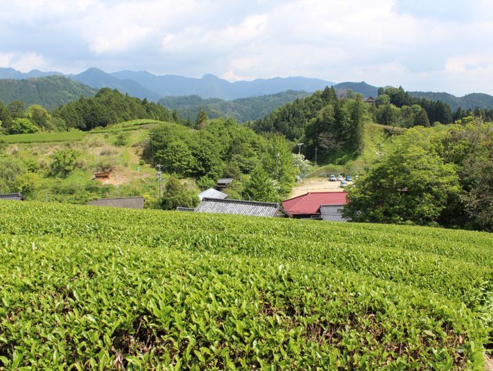 設楽町
