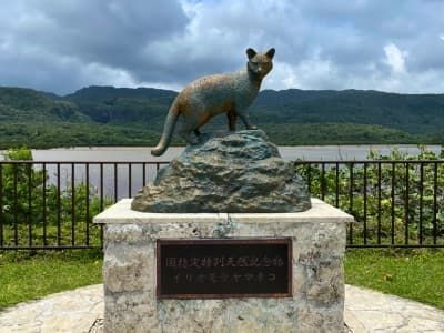 竹富町