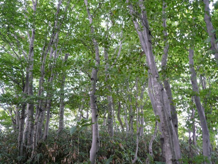 石川県全体