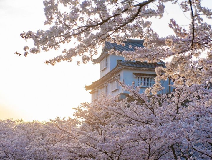 津山市