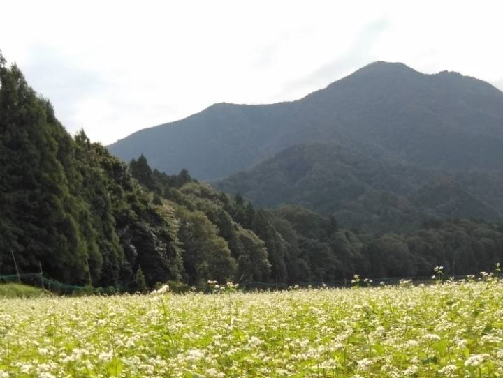 大垣市