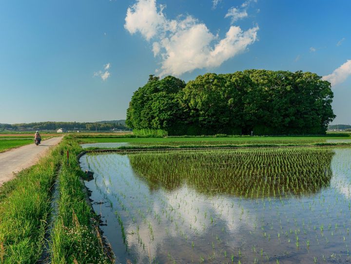 玉城町