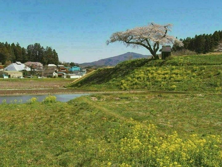 田村市