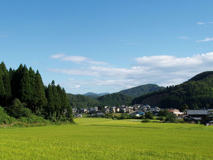 越前市
