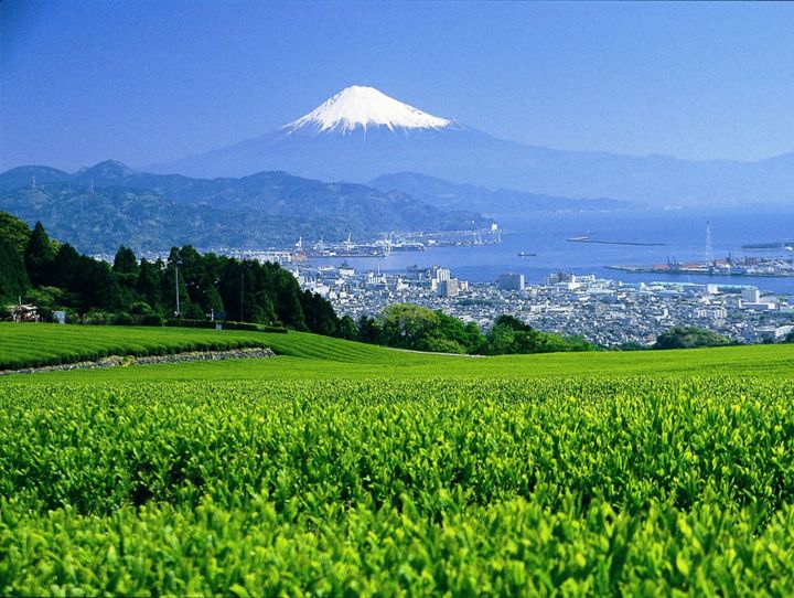 静岡市