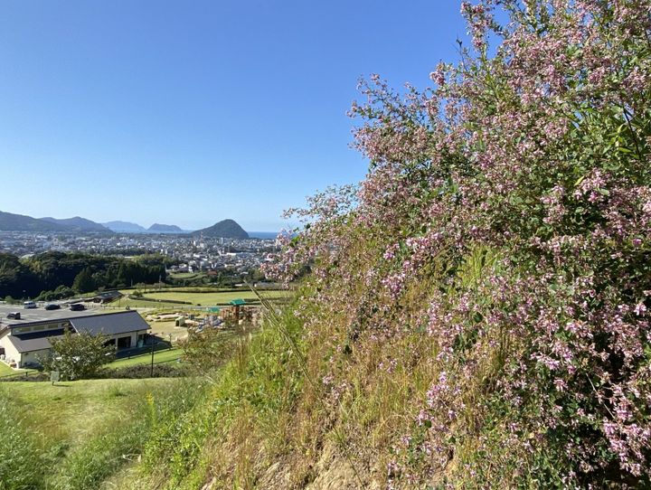 萩市