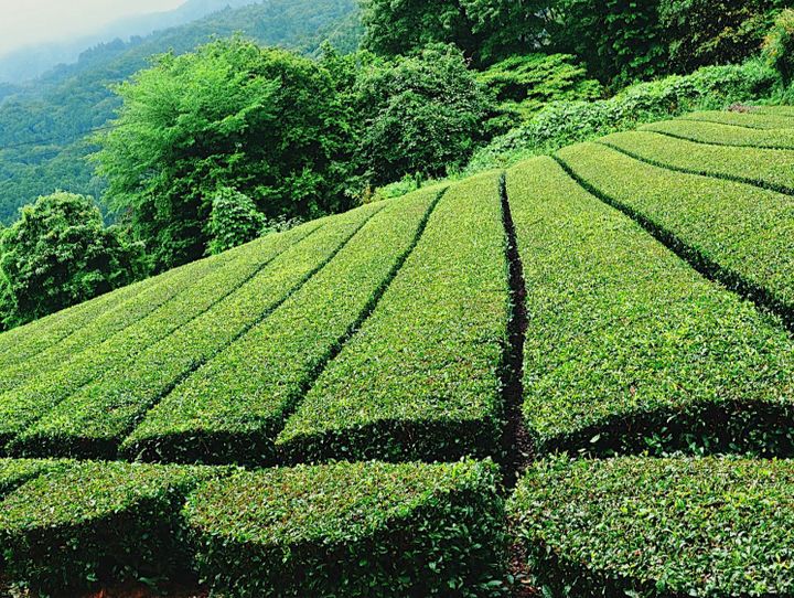 山添村